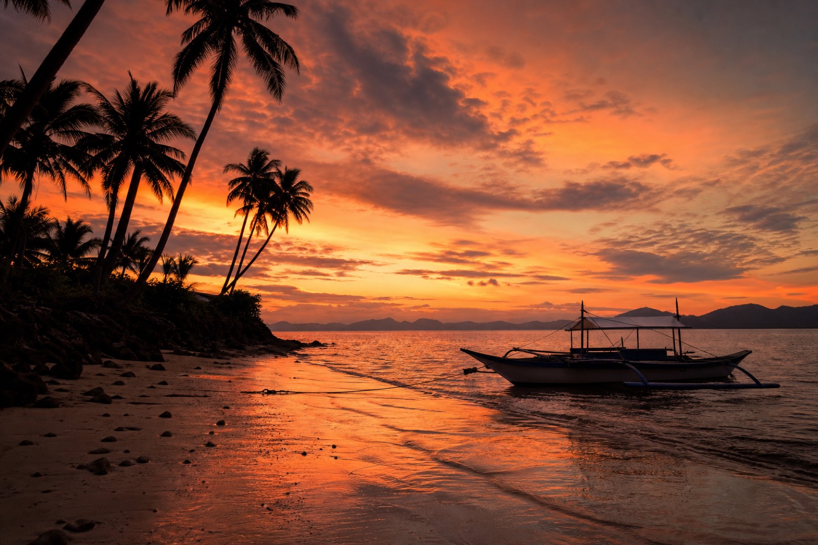 People watching a golden sunset from Las Cabanas Beach near El Nido, with palm trees and a calm sea