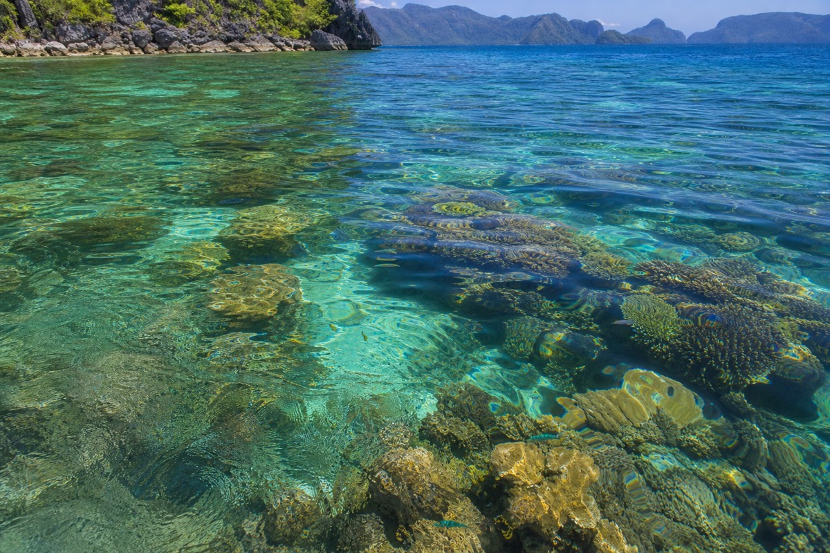 Snorkelling over shallow reef on an island-hopping stop